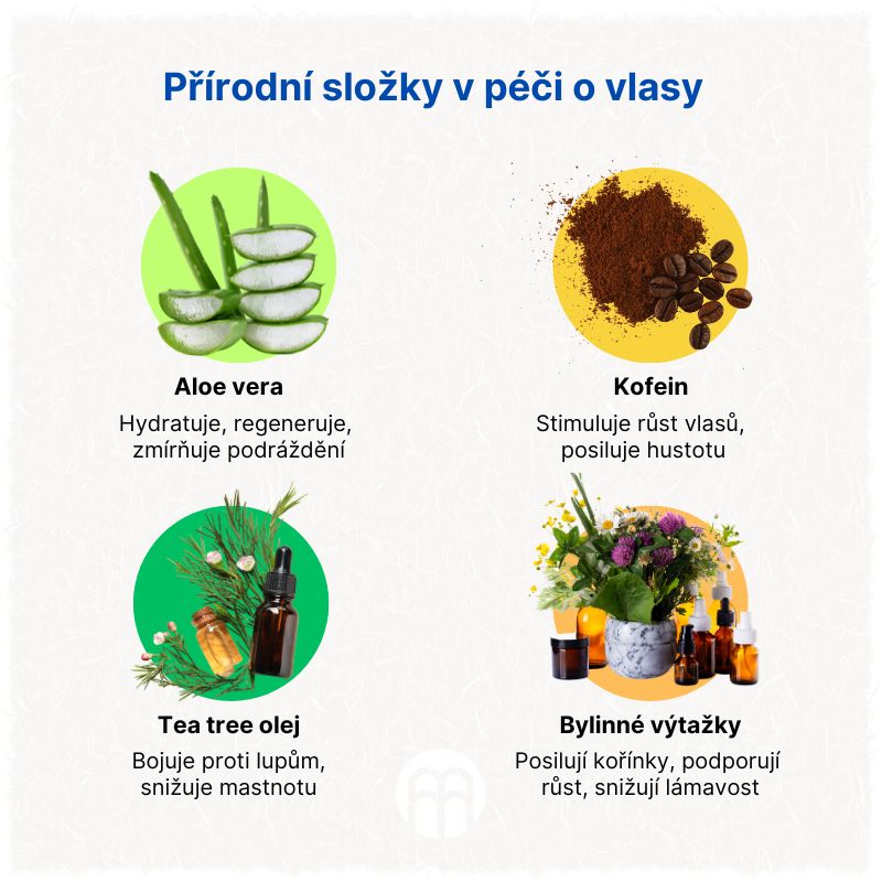 Přírodní složky v péči o vlasy